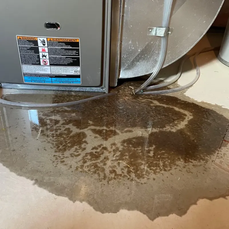 Appliance Leak Cleanup in Mesa, AZ