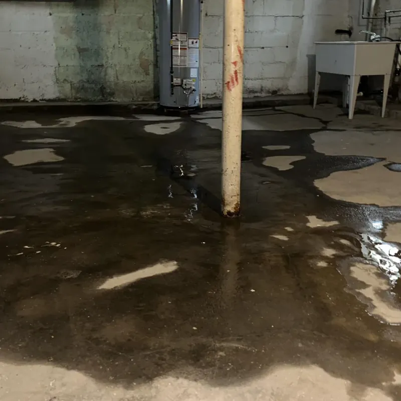 Emergency Water Extraction And Removal in Mesa, AZ